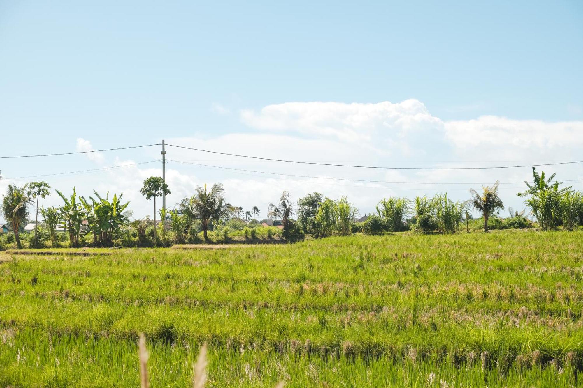 Padi Villa Canggu Canggu (Bali) Ngoại thất bức ảnh